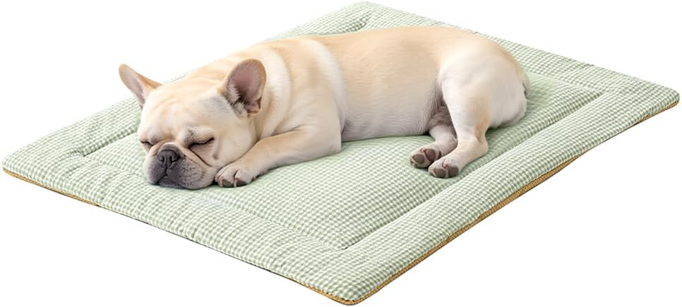 Washable Dog Bed Mat Cute Dog Crate Pad Soft Fluffy Pet Kennel Beds Dog Sleeping Mattress for Medium Small Dogs 27.5×35.4×1inch Green
