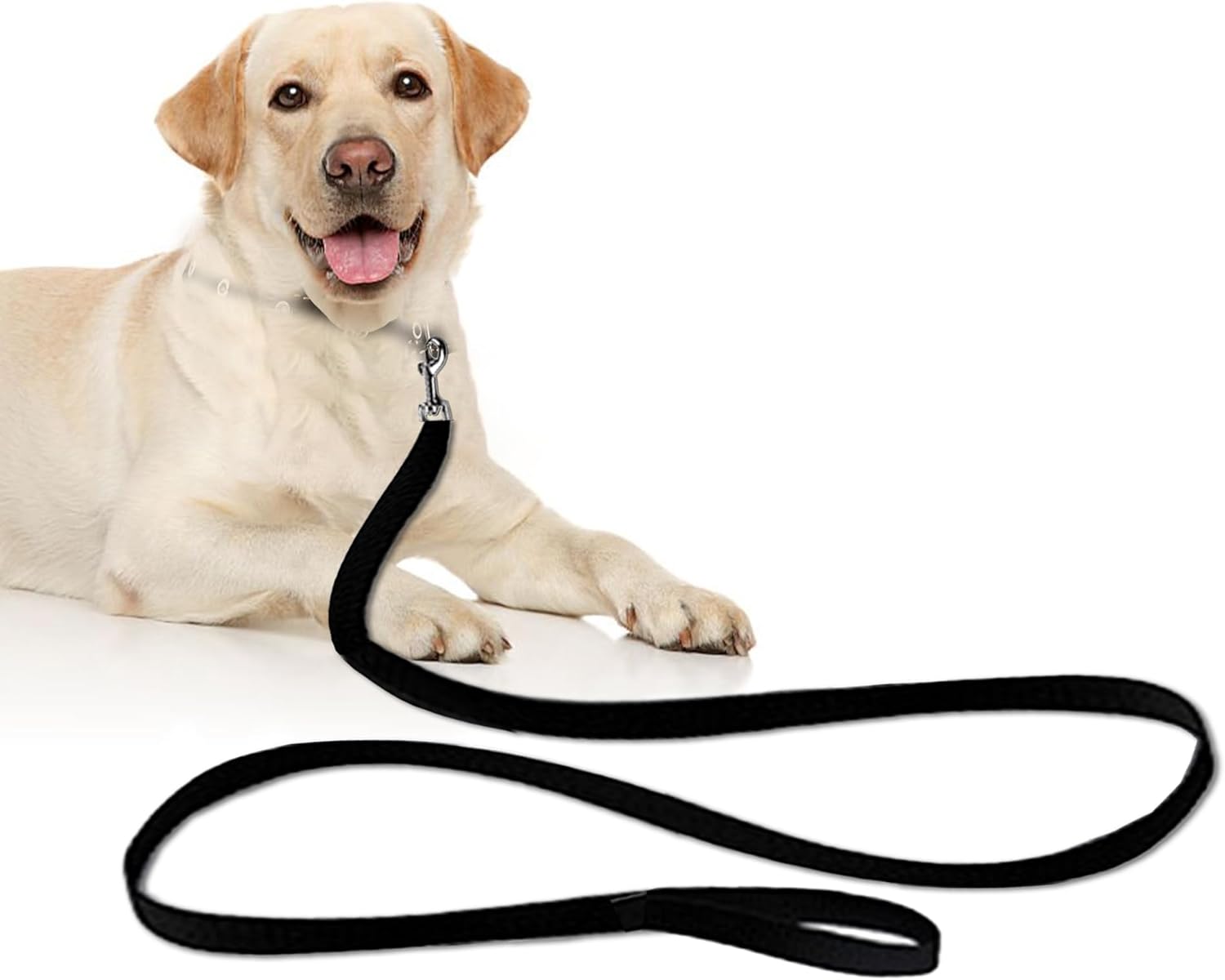 Pet Training Leash, Heavy-Duty Polypropylene Walking Leash, 360-degree Swivel Hook, Dog/Puppy Obedience, Recall, Agility Lead, Leisure & Adventure Walking, Black, 6 feet x 0.8 inches