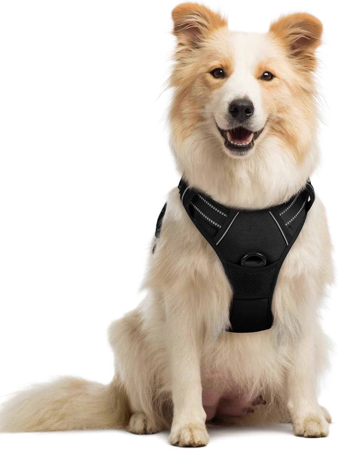 Dog Harness No Pull with 2 Leash Clips, Adjustable Soft Padded, Reflective Oxford No Choke Pet Vest with Easy Control Handle for Medium Sized Dogs, Black, M