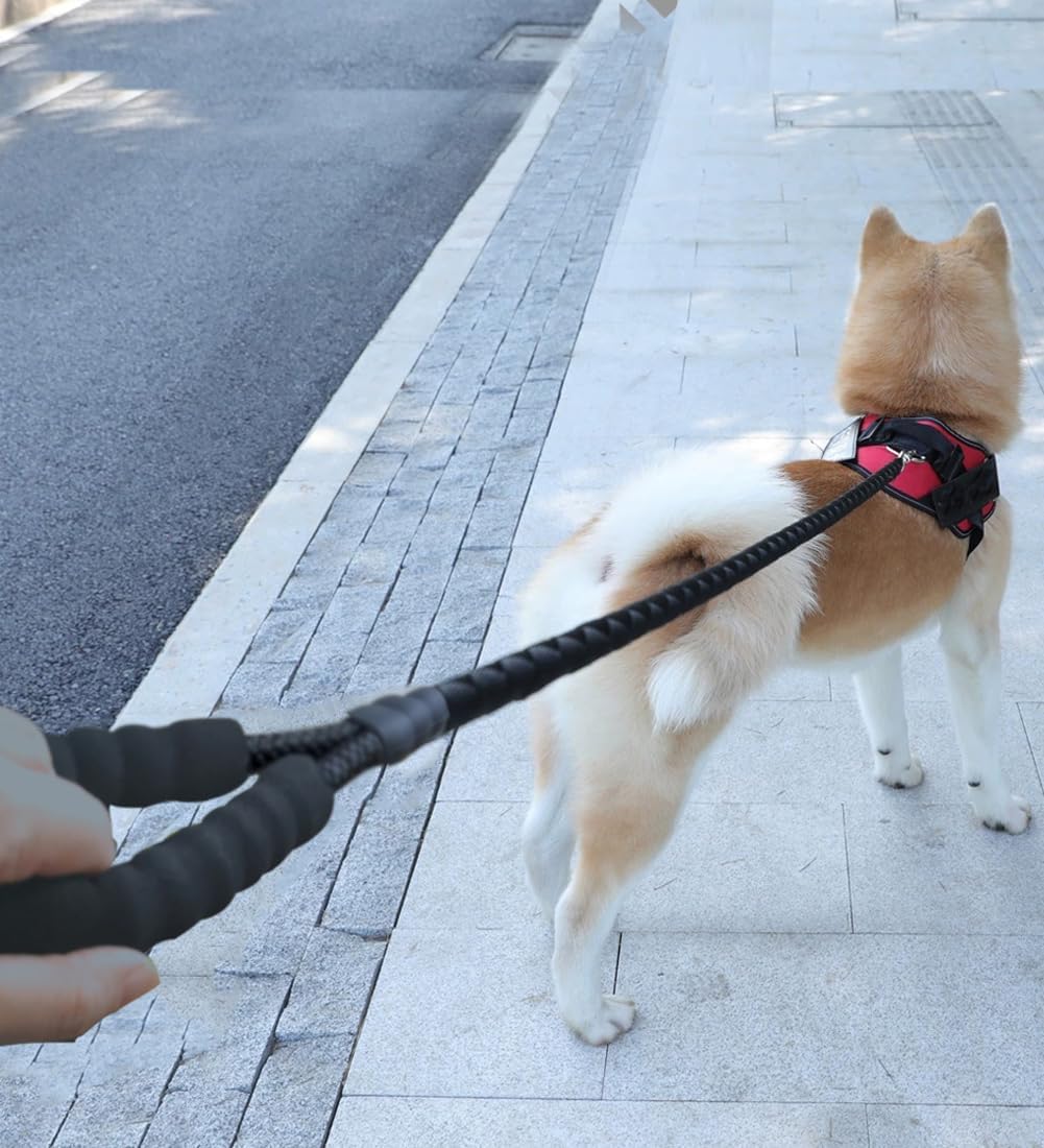 Black dog leash, 6-foot heavy-duty leash with padded handle, strong nylon reflective leash, suitable for medium to large breed dogs, for training and walking (1/2 inch).