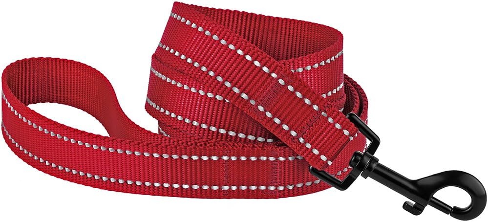 Nylon Dog Leash 5ft for Daily Outdoor Walking Running Training Heavy Duty Reflective Pet Leashes for Large, Medium & Small Dogs (L, Red)