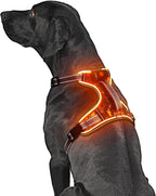 LED Light Up Dog Harness for Safety Night Walking, Glow in The Dark Soft Mesh Lighted Safety Vest USB Rechargeable -Illuminated No Pull Reflective Dog Harness for Medium Dogs (Orange, M)