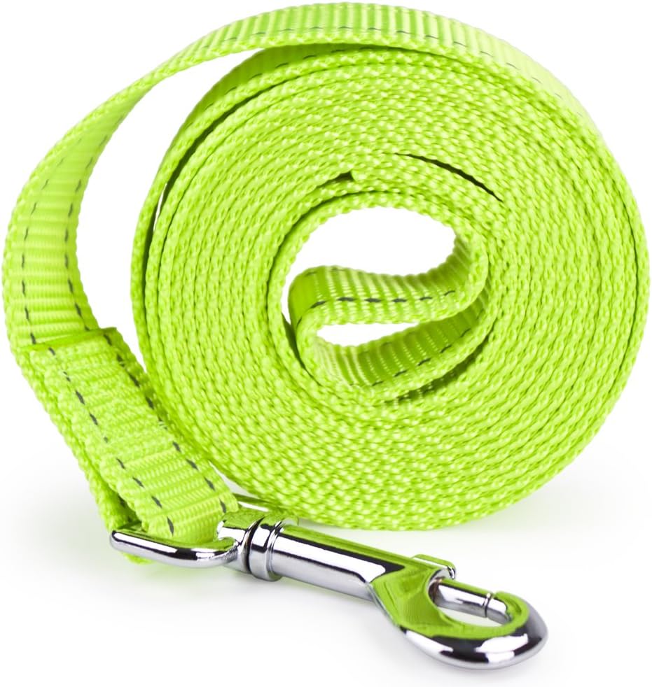 Reflective Nylon Safety Leash | Bright, Extra-Visible Dog Leashes | 6 ft. & 8 ft Easy-Clip Rope Leashes for Small/Medium/Large Breeds
