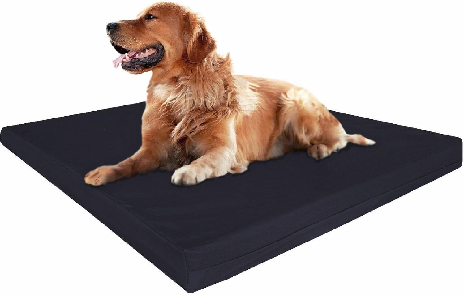 XL Orthopedic Cool Foam Dog Bed, Durable Washable Black Canvas Cover, Waterproof Liner, and Extra Brown Microsuede Antislip Case, 47"X29"X4", Fits 48X30 Crate.
