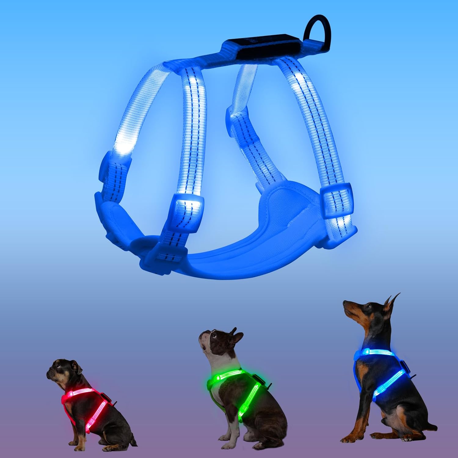 Rechargeable Light Up Dog Harness for Small Dogs – Adjustable LED Dog Vest with Reflective Strips, No Pull Glow in The Dark Puppy Harness for Night Walking Safety-Blue