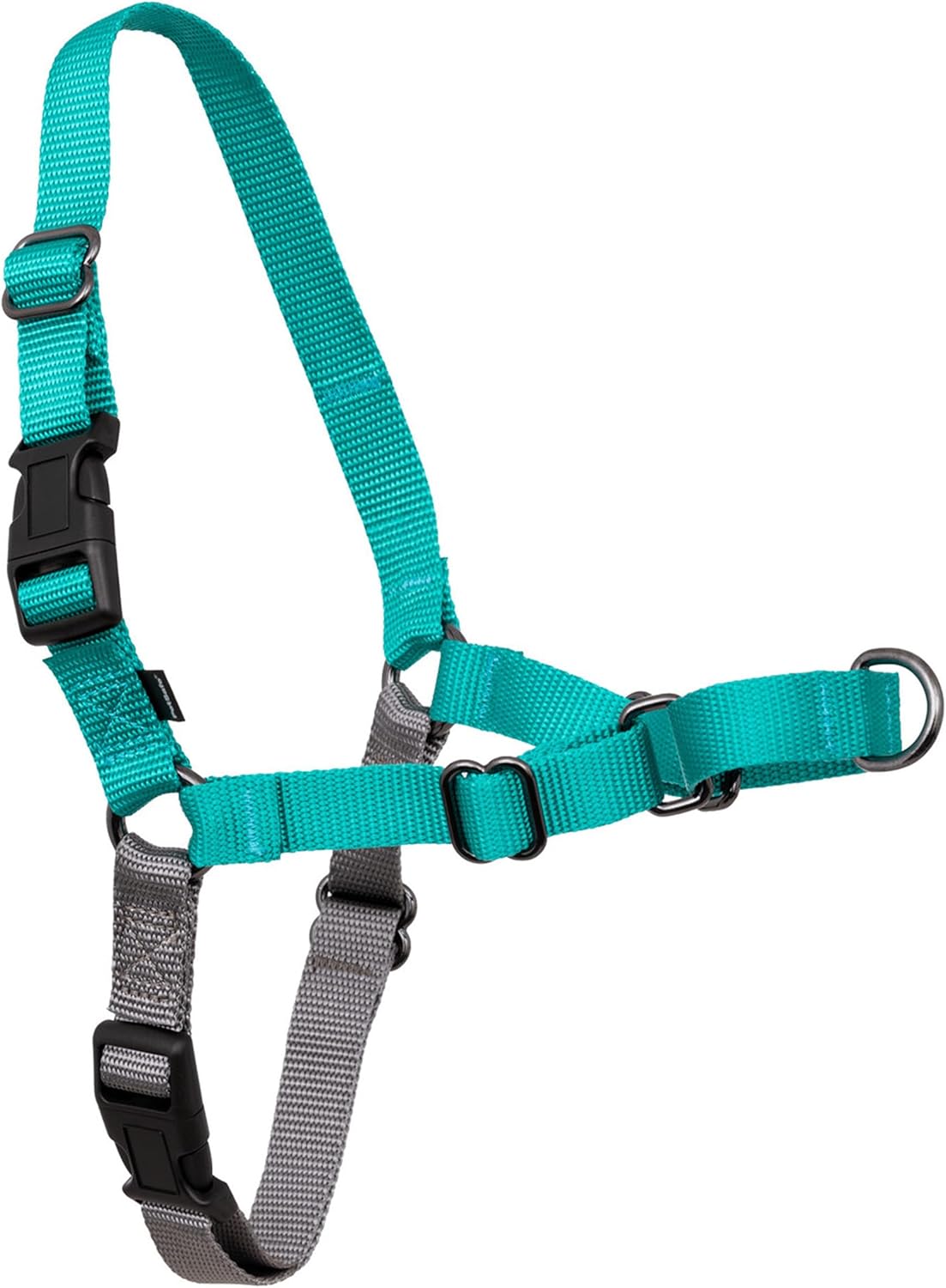 Harness for Dogs - Pull-Free Walks - Patented Martingale Loop Design - Front Chest Leash Attachment - Comfort Straps - Breathable Harness Design - Large, Teal/Gray