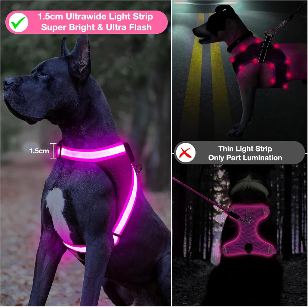 Light Up Dog Harness, No Pull Led Dog Harness Glow-in-The-Dark for Night Walking, USB Rechargeable Lighted Safety Vest for Small Dogs, Adjustable Soft Mesh Fully Illuminated (Pink, Small)