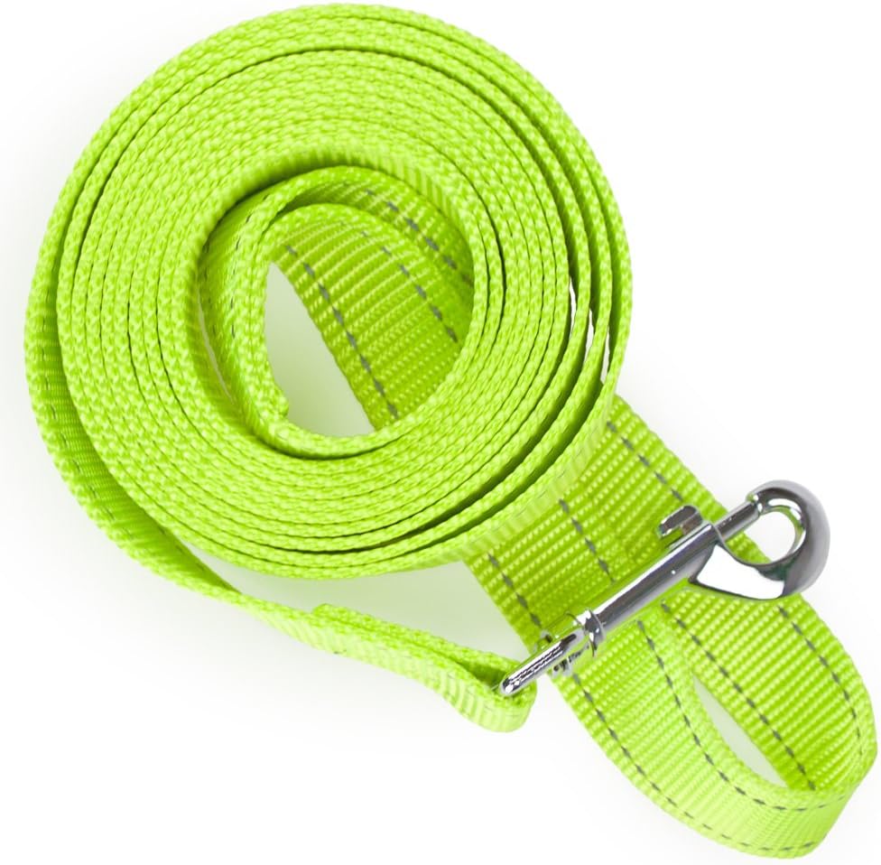 Reflective Nylon Safety Leash | Bright, Extra-Visible Dog Leashes | 6 ft. & 8 ft Easy-Clip Rope Leashes for Small/Medium/Large Breeds