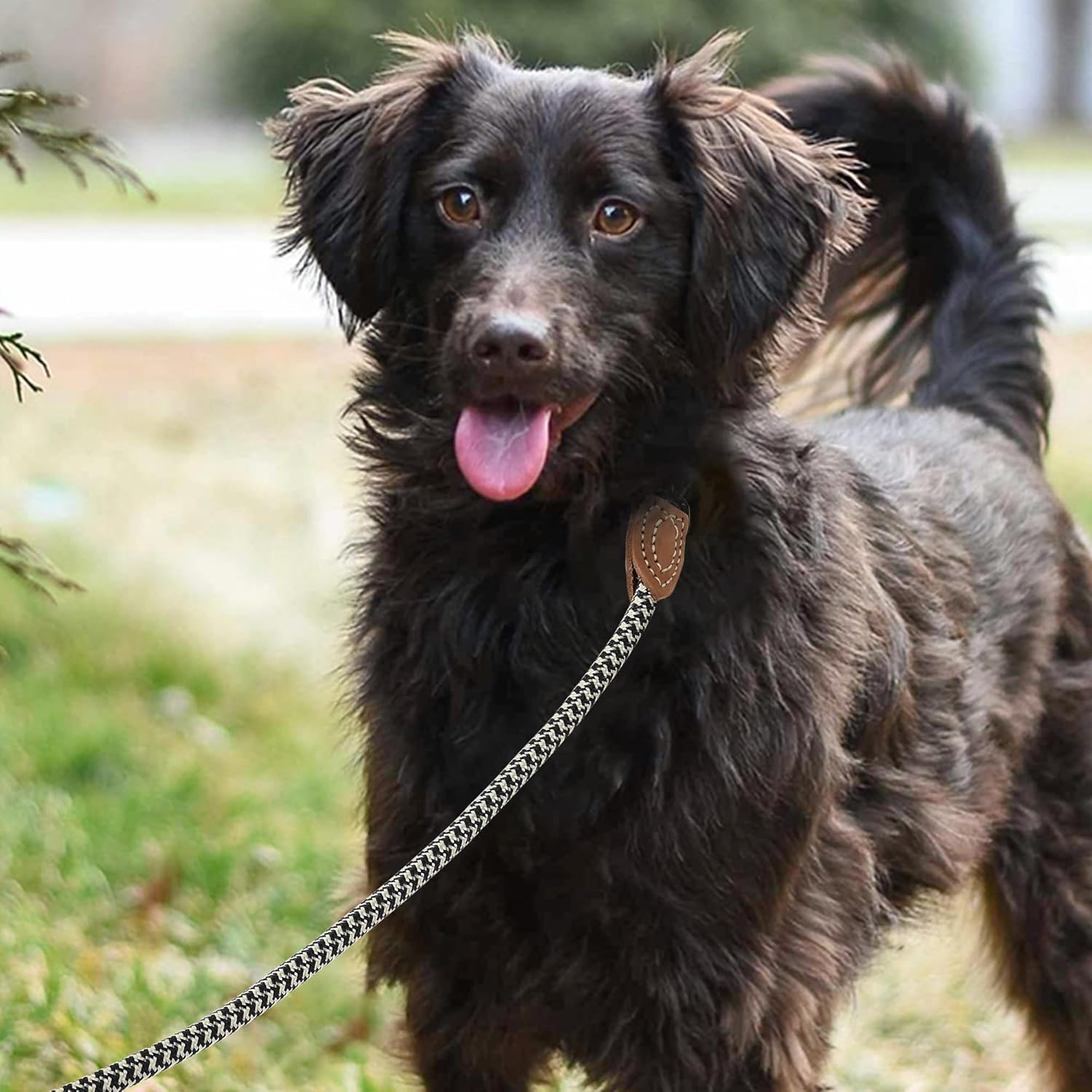 Rope Leash with Genuine Leather Connection, 6 FT/5 FT/4 FT, Heavy Duty Leash for Medium & Large Dogs (Black Khaki, 48 Inch)