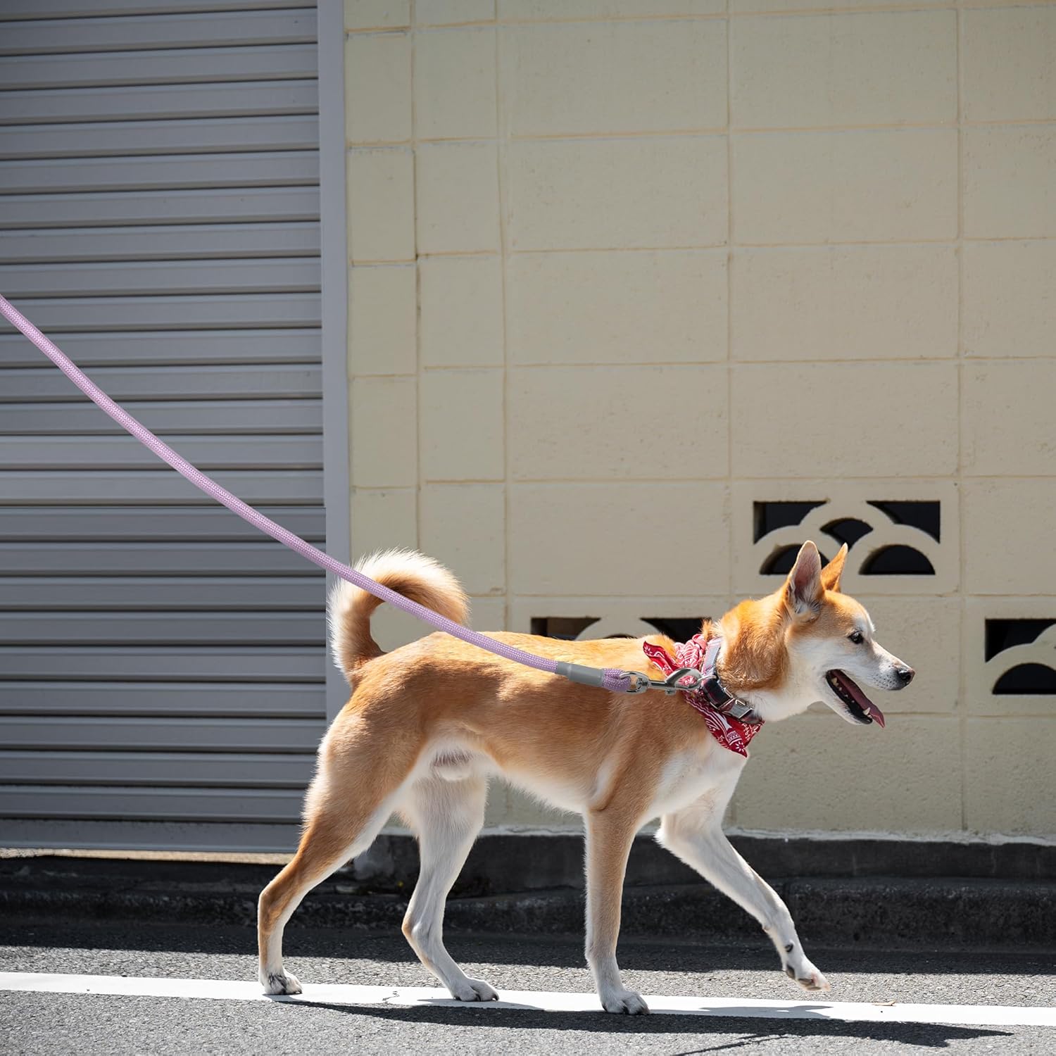Dog Leash, with Comfortable Padded Handle, Purple Nylon Rope Leash with Steel Tips, Heavy Duty 6 Feet Pet Leashes (Pink,72 Inches)