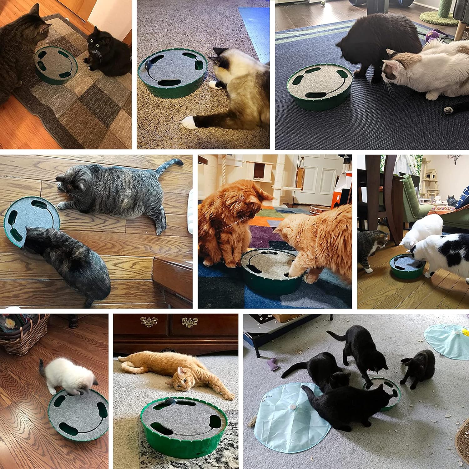 Interactive Cat Toy with Running Mouse, Electronic Motion Cat Toy Automatic Teaser for Indoor Cats, Pop and Play Hide Seek Cat Toys Hunting Mouse for Pet Cat Kitten Play Fun Exercise, Green